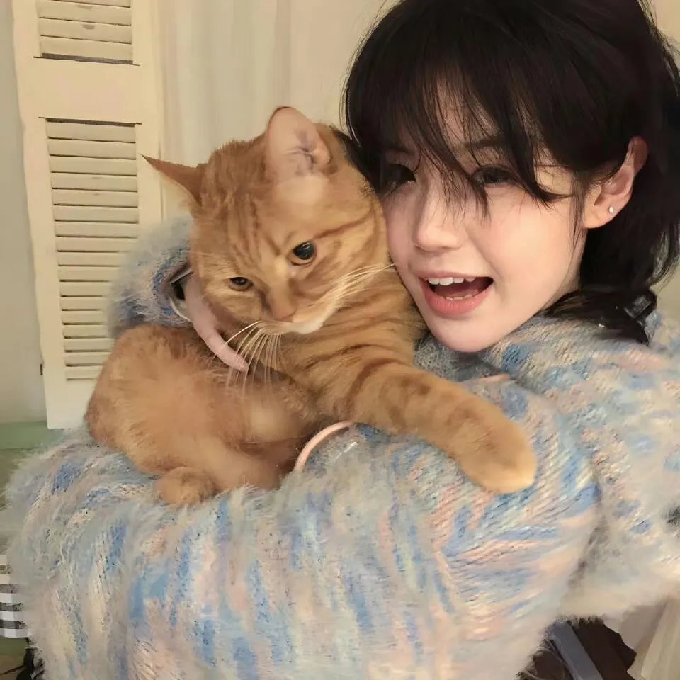 假如猫从世界上消失了 海报